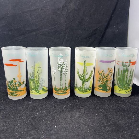 Unbranded Other - Set Of 6 Vintage Blakely Oil & Gas Arizona Cactus Frosted Ice Tea Glasses